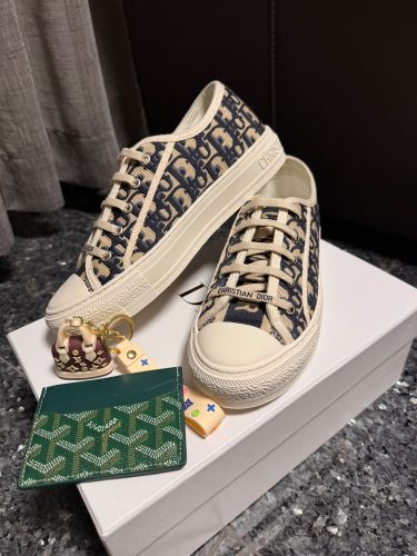 Dior Walk’n’ Oblique photo review